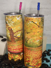 Load image into Gallery viewer, 20oz Tumbler Stainless Steel with Lid and Straw - Fall Trees and Leaves
